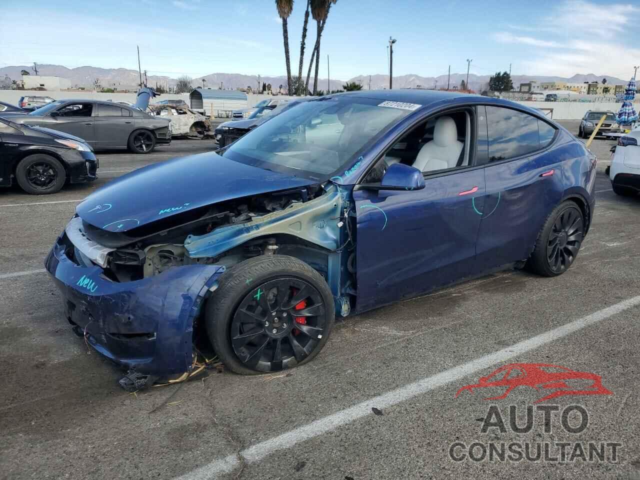 TESLA MODEL Y 2022 - 7SAYGDEF0NF564231