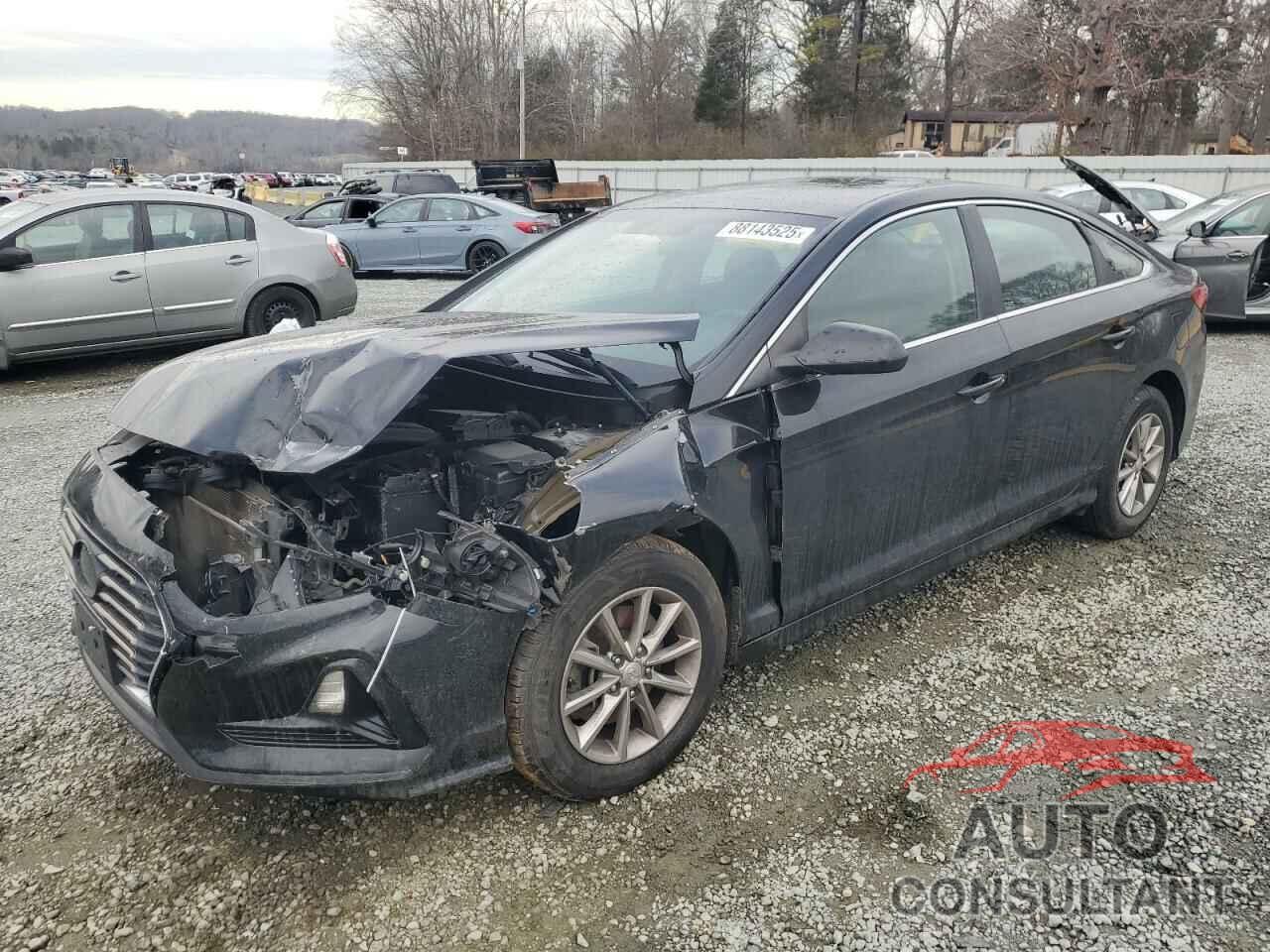 HYUNDAI SONATA 2019 - 5NPE24AF3KH791558