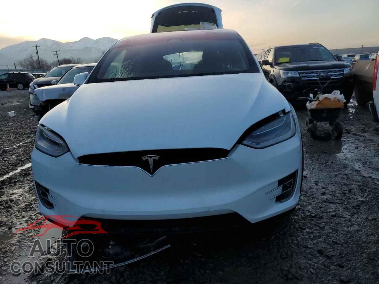 TESLA MODEL X 2020 - 5YJXCBE27LF236484
