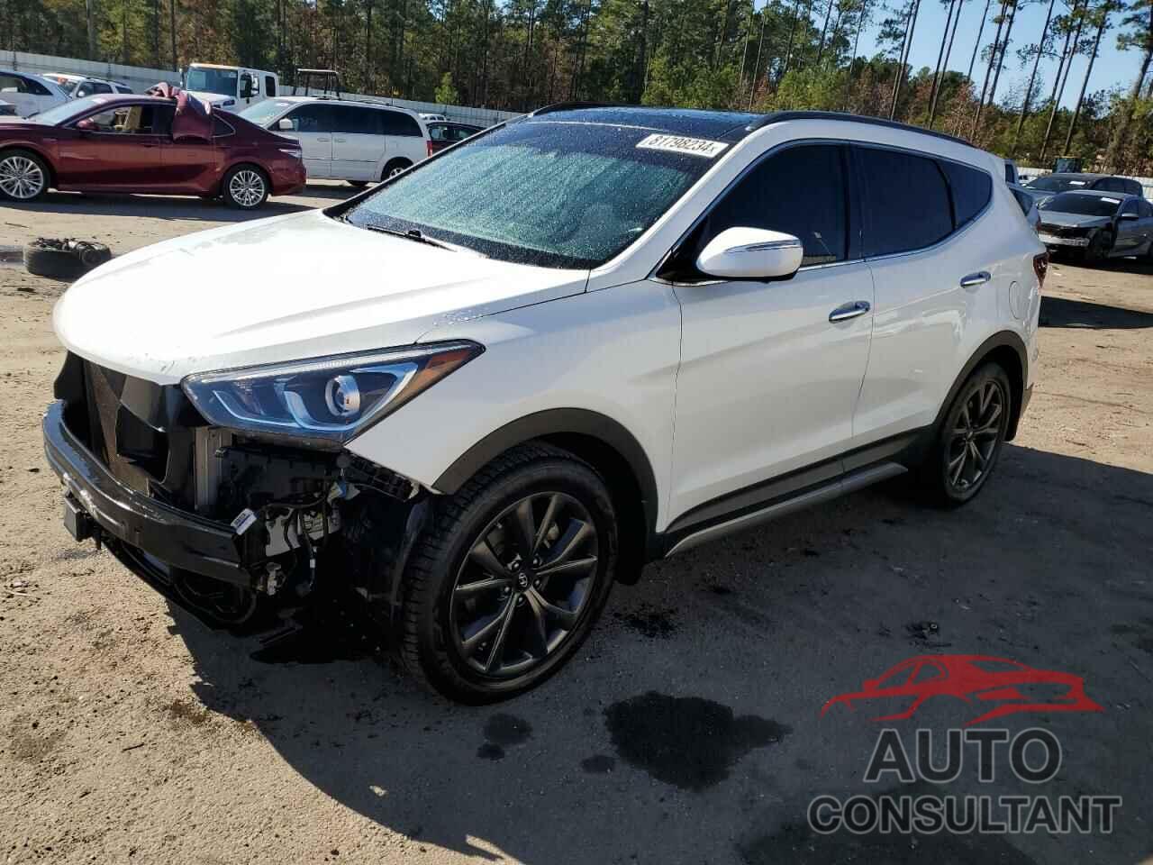 HYUNDAI SANTA FE 2017 - 5XYZWDLA3HG501780