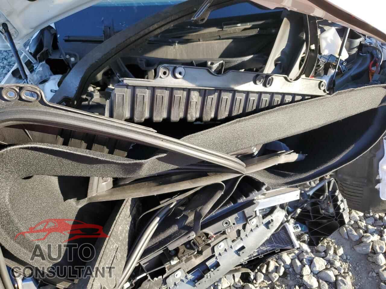TESLA MODEL X 2024 - 7SAXCBE54RF459703