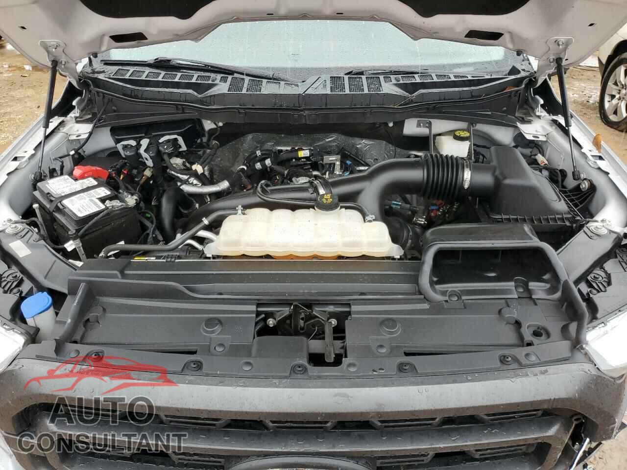 FORD F-150 2021 - 1FTEW1EP1MFC61432