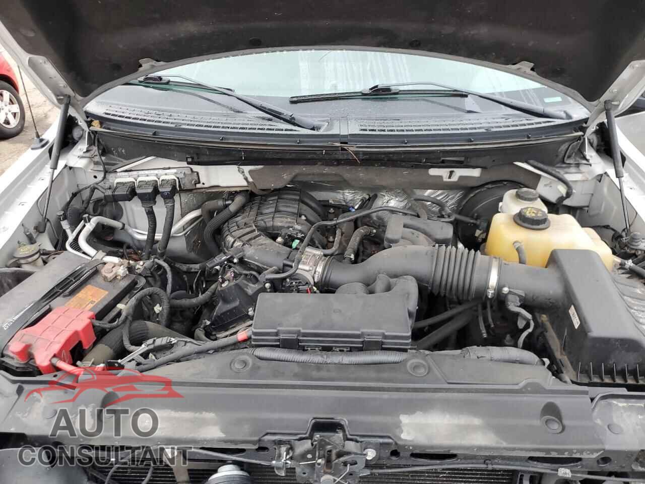 FORD F-150 2013 - 1FTEW1CM2DFD47521