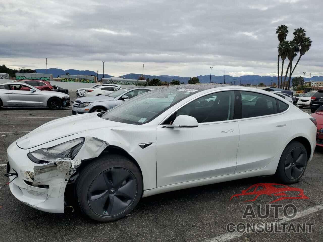 TESLA MODEL 3 2019 - 5YJ3E1EA9KF435674