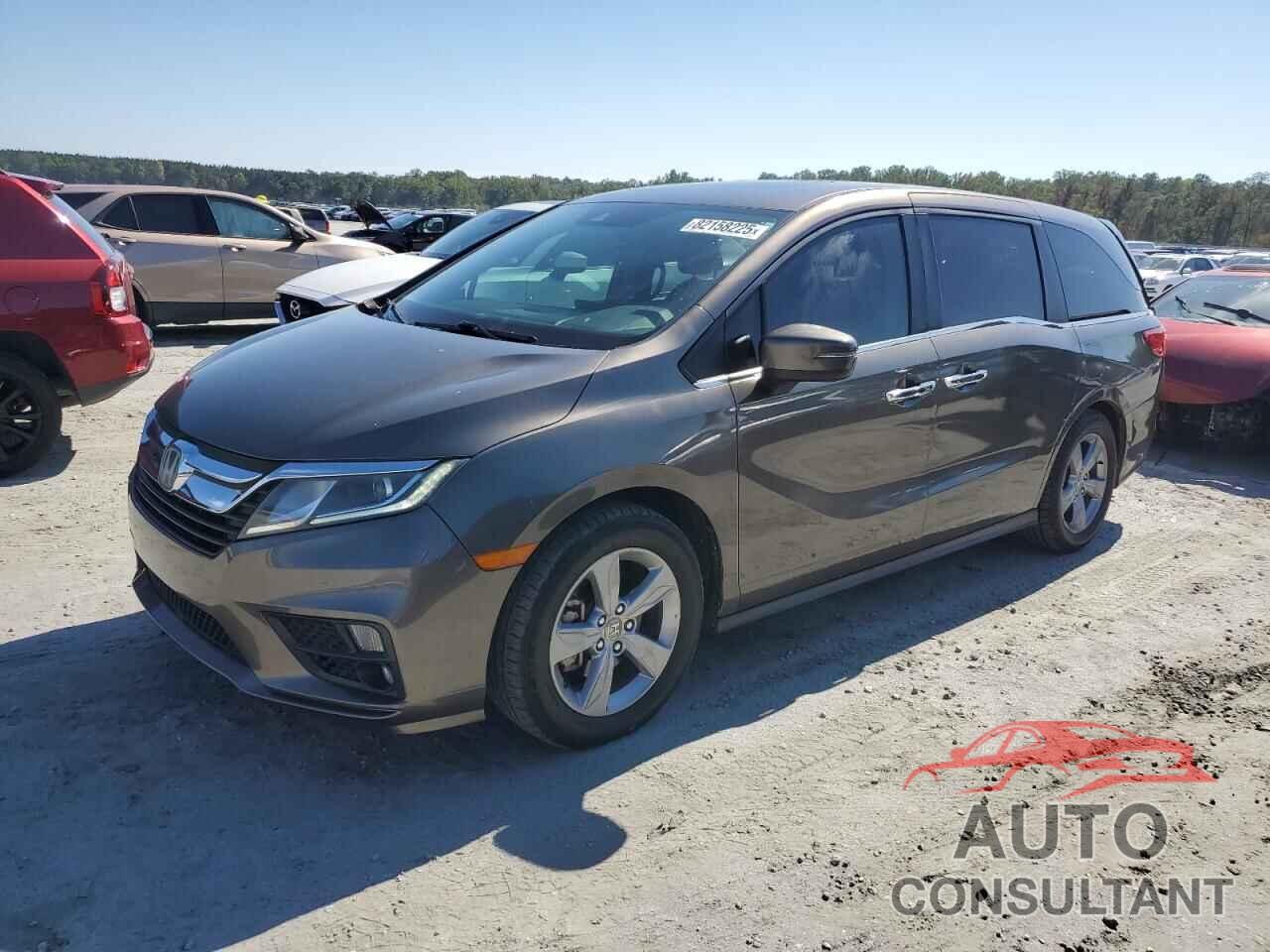 HONDA All Models 2019 - 5FNRL6H75KB022339