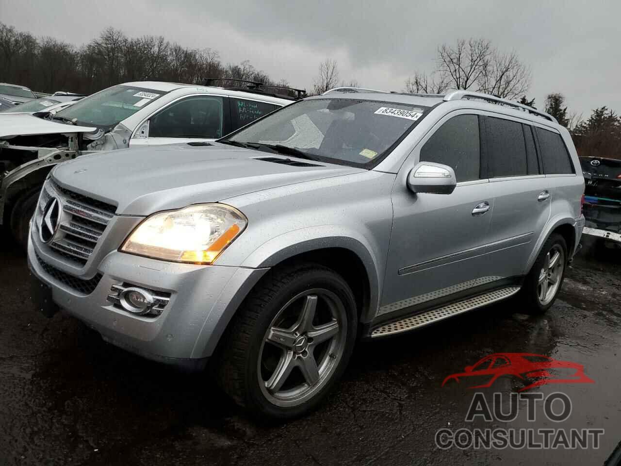 MERCEDES-BENZ GL-CLASS 2009 - 4JGBF86E49A525896