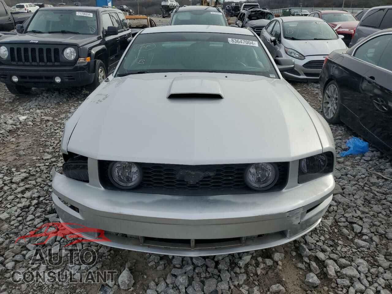 FORD MUSTANG 2009 - 1ZVHT82H495142425