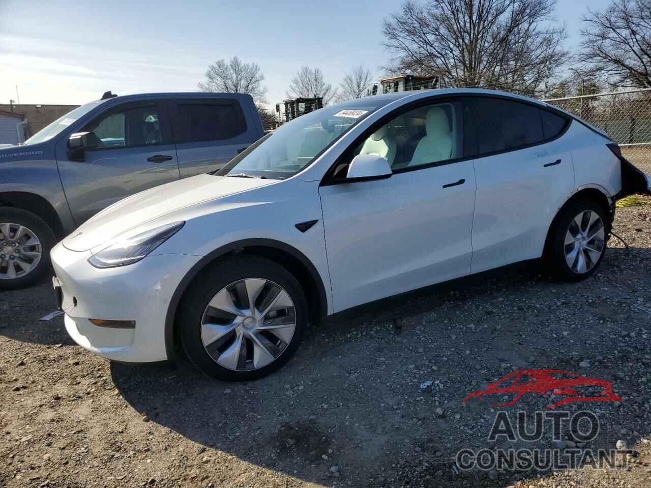 TESLA MODEL Y 2021 - 5YJYGDEE8MF178823