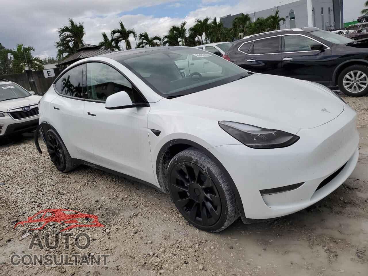 TESLA MODEL Y 2024 - 7SAYGDED6RF098213