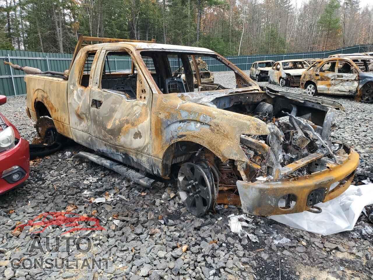 FORD F-150 2012 - 1FTFX1EF6CFB78666