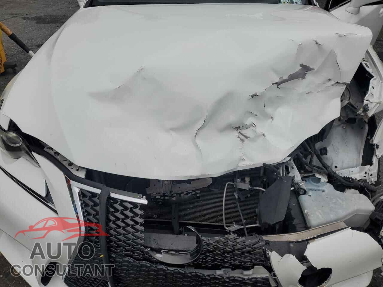 LEXUS IS 2015 - JTHBF1D27F5044161