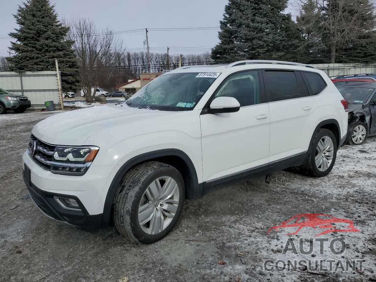 VOLKSWAGEN ATLAS 2020 - 1V2MR2CA5LC505007
