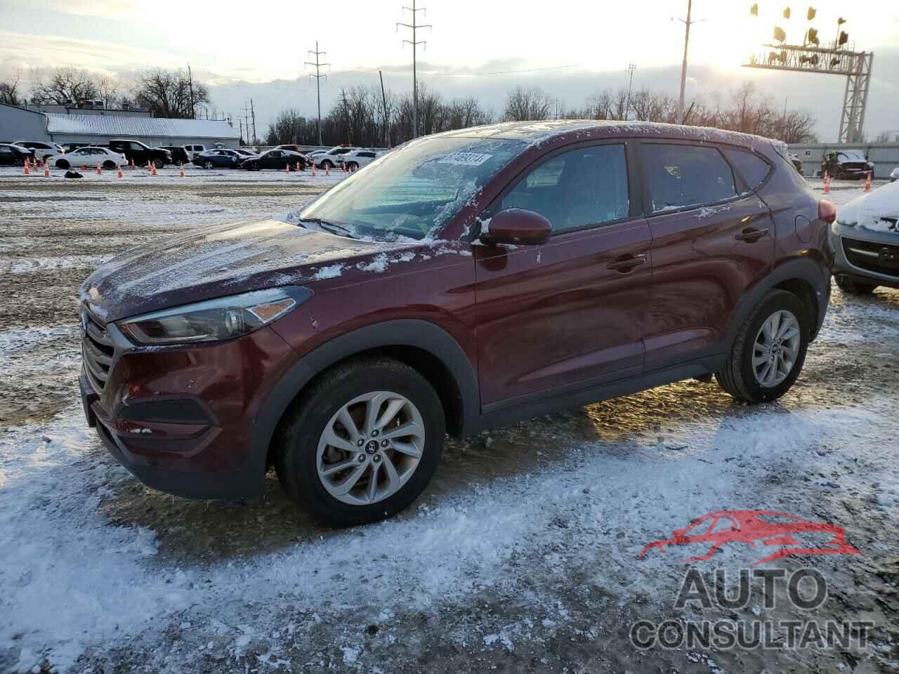 HYUNDAI TUCSON 2017 - KM8J23A49HU261757