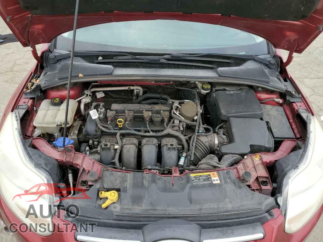 FORD FOCUS 2014 - 1FADP3F2XEL123436