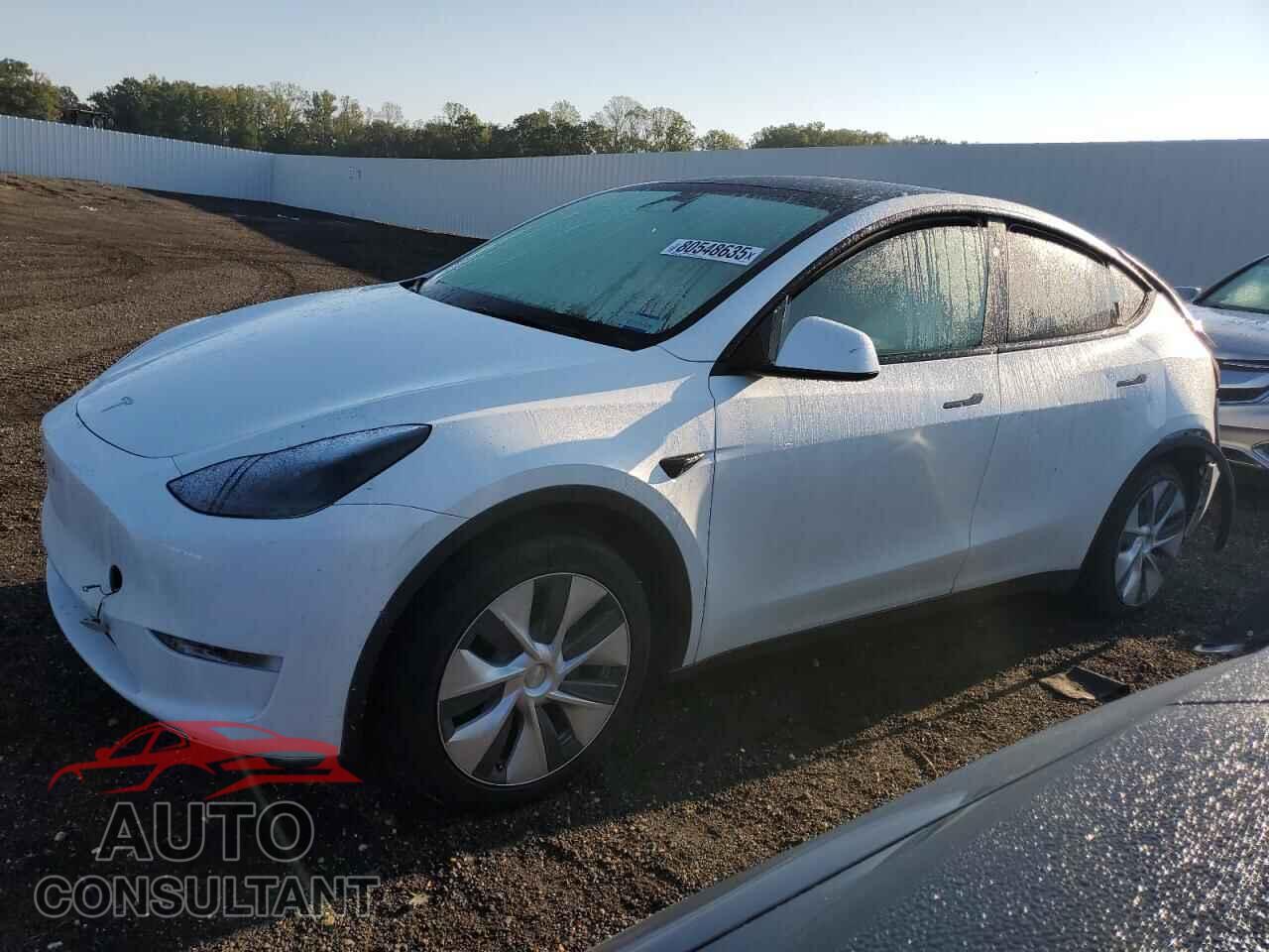 TESLA MODEL Y 2024 - 7SAYGDED6RF044698