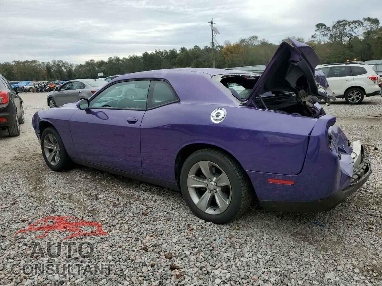 DODGE CHALLENGER 2019 - 2C3CDZAG5KH586991