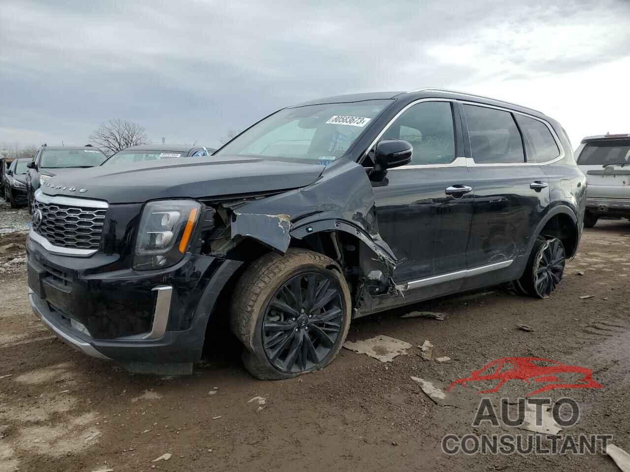 KIA TELLURIDE 2021 - 5XYP54HC8MG186070