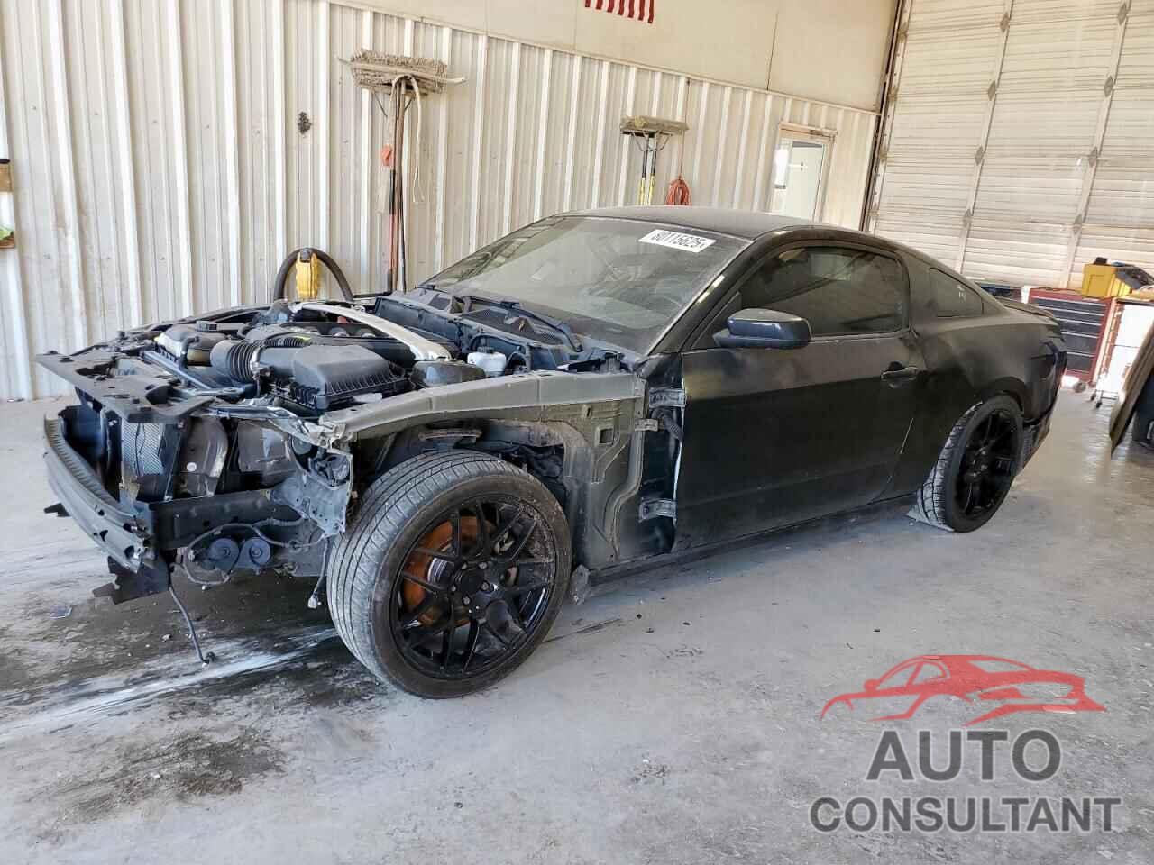 FORD MUSTANG 2014 - 1ZVBP8CF8E5207536