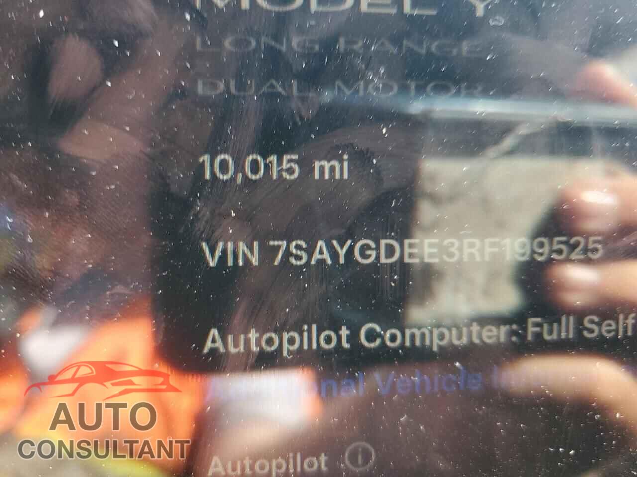 TESLA MODEL Y 2024 - 7SAYGDEE3RF199525