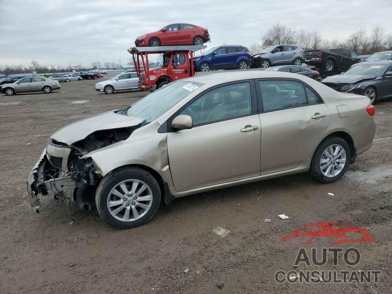 TOYOTA COROLLA 2010 - 2T1BU4EE1AC342069