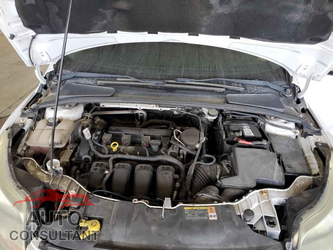 FORD FOCUS 2013 - 1FADP3F21DL245911