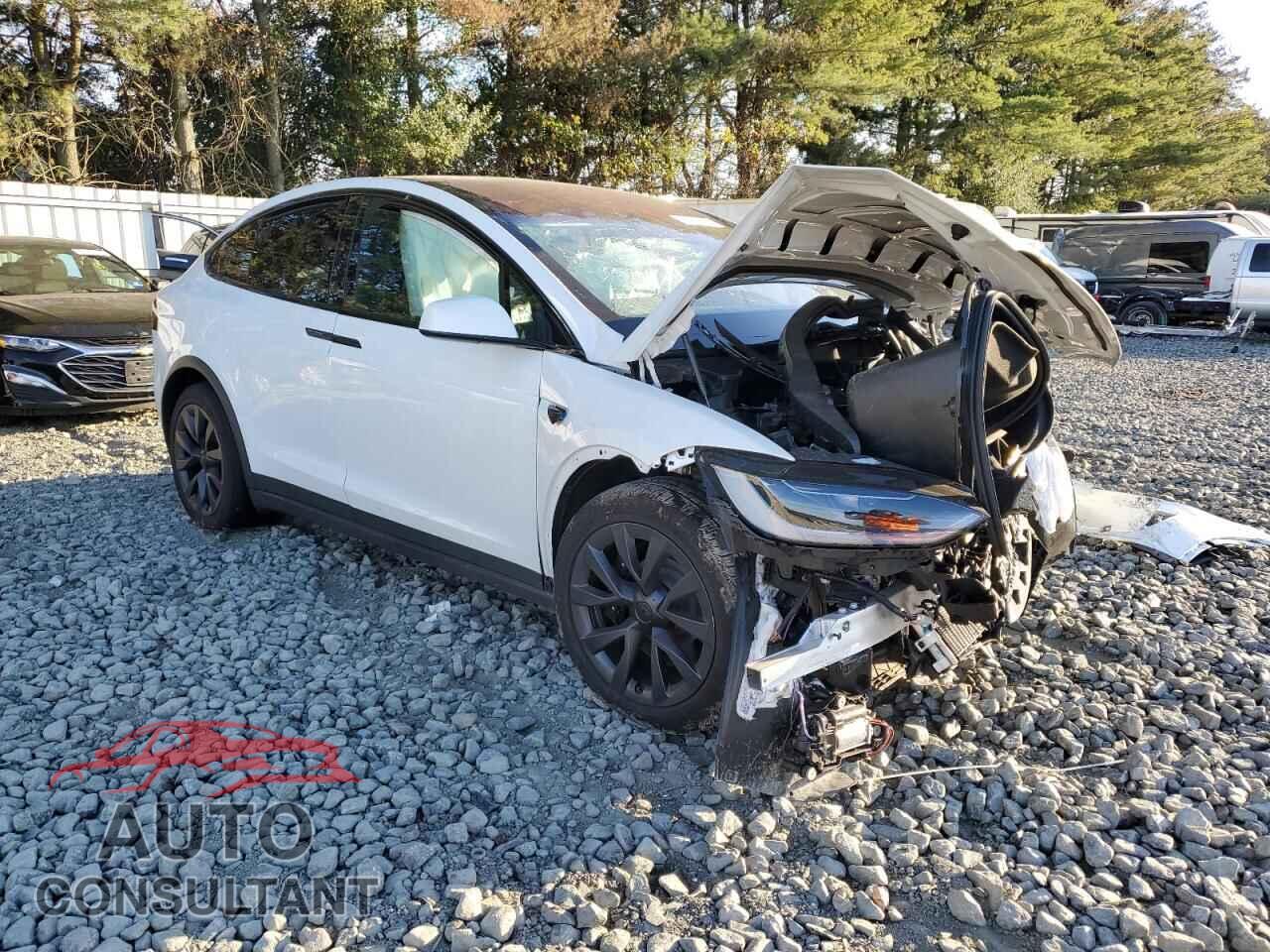 TESLA MODEL X 2024 - 7SAXCBE54RF459703