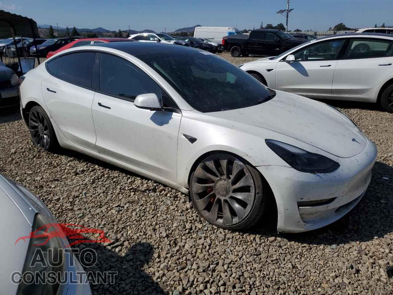 TESLA MODEL 3 2023 - 5YJ3E1EC2PF420829