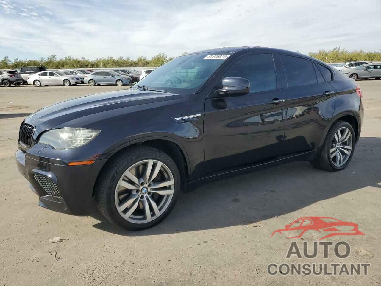 BMW X6 2010 - 5YMGZ0C50ALK13565