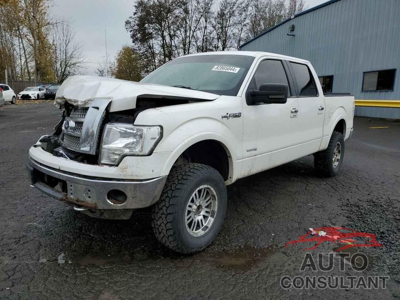 FORD F-150 2011 - 1FTFW1ET4BFD15045