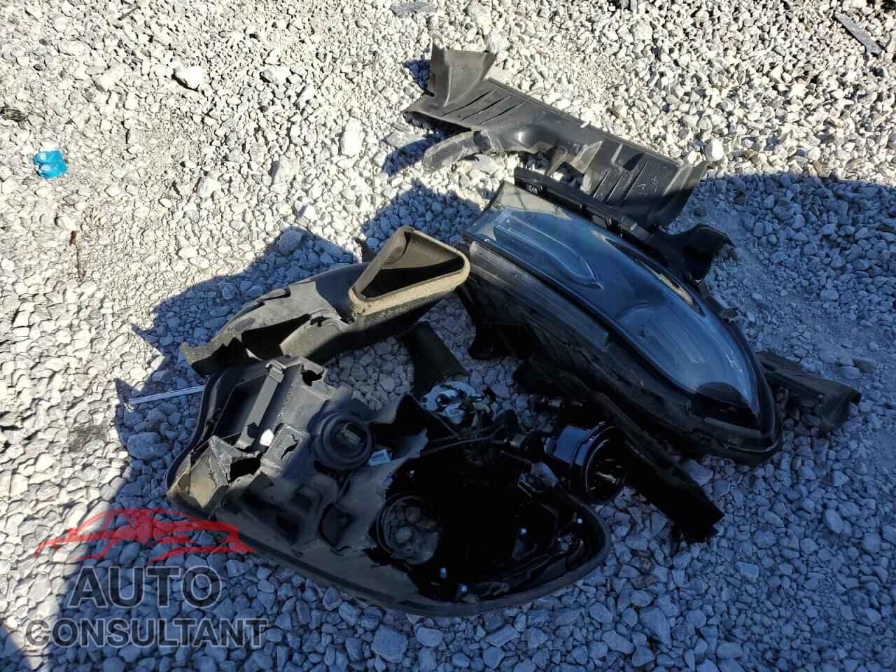 DODGE CHARGER 2019 - 2C3CDXBG9KH630672