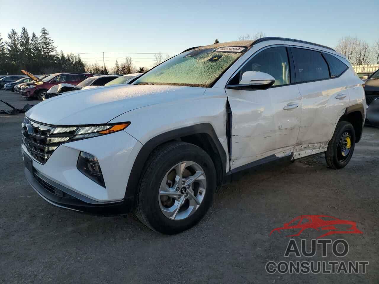 HYUNDAI TUCSON 2022 - KM8JCCAE3NU166838