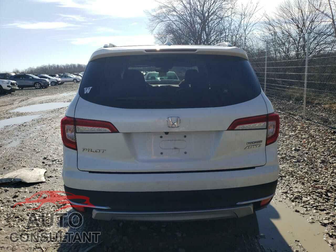 HONDA PILOT 2019 - 5FNYF6H69KB055791