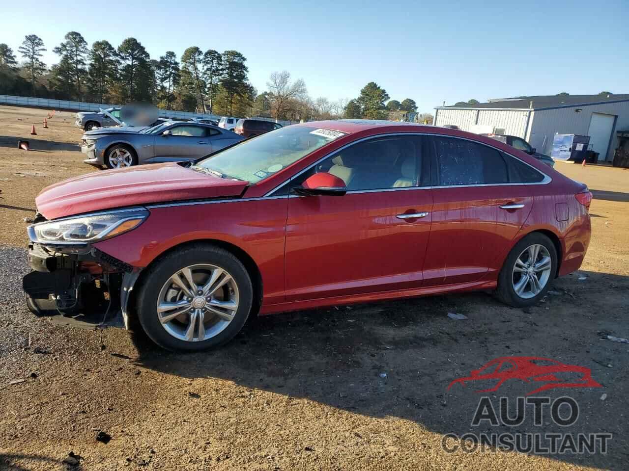 HYUNDAI SONATA 2018 - 5NPE34AF5JH652673