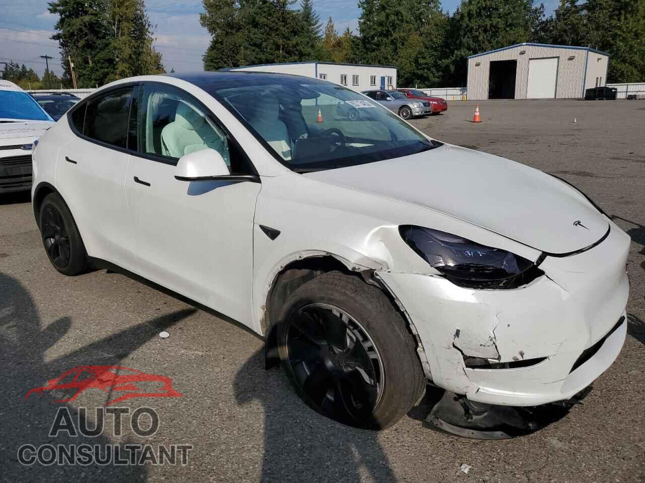TESLA MODEL Y 2023 - 7SAYGDEE2PF836319