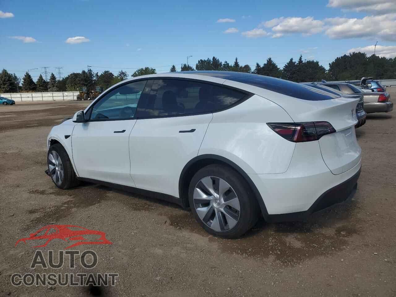 TESLA MODEL Y 2024 - 7SAYGDEE7RF088685