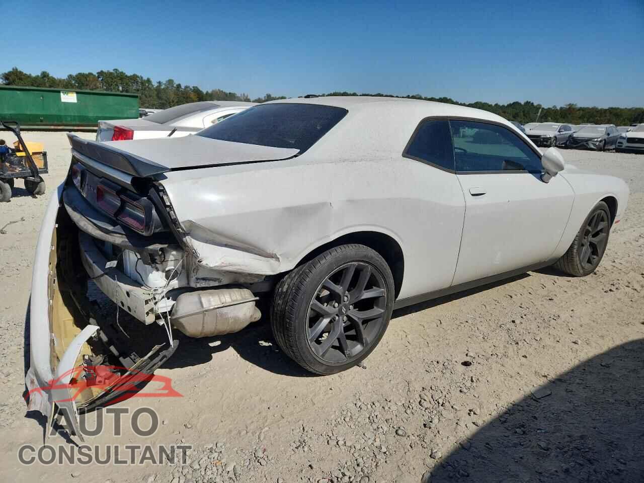 DODGE CHALLENGER 2019 - 2C3CDZAG2KH503923