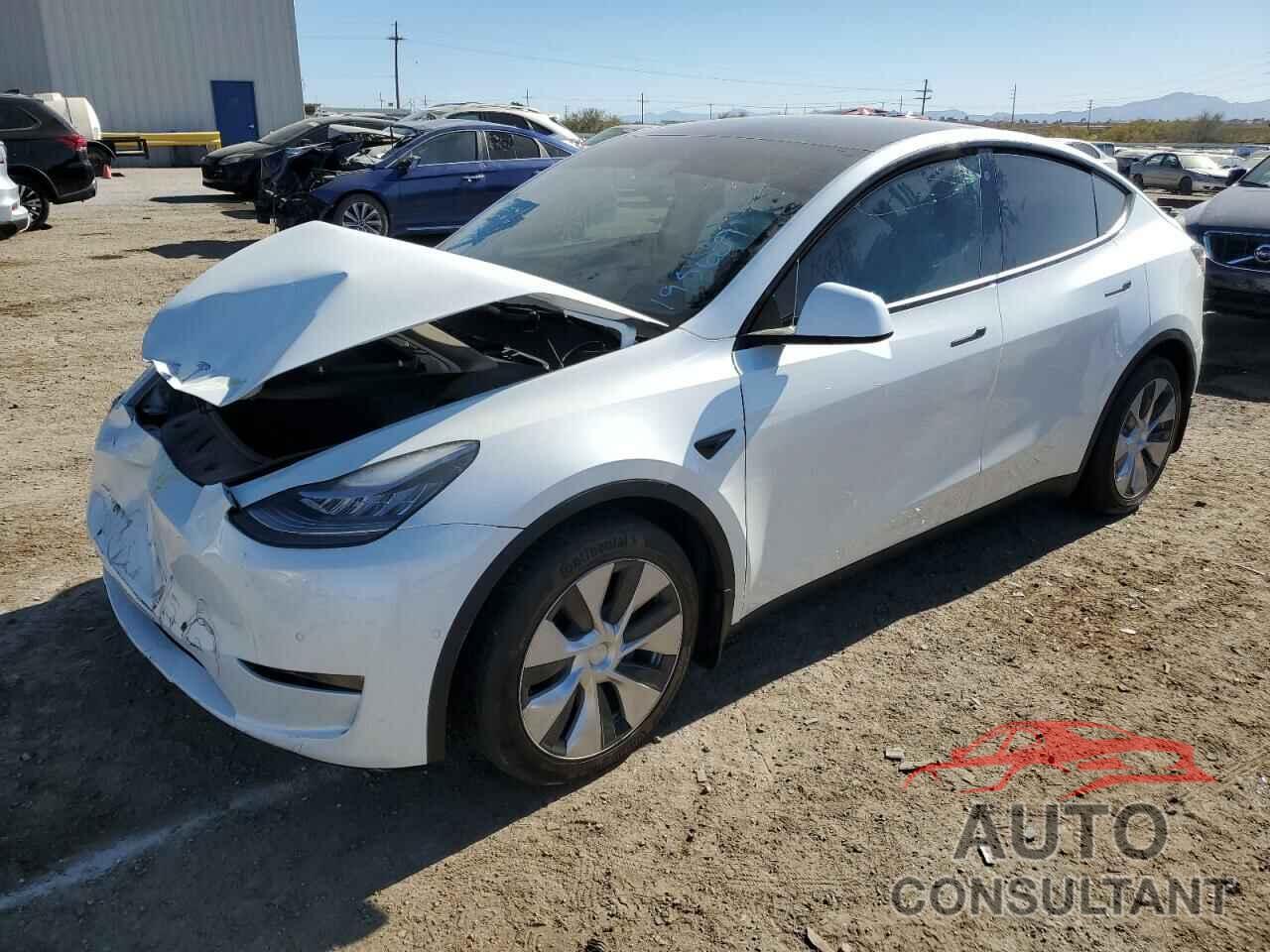 TESLA MODEL Y 2021 - 5YJYGDEE3MF195609