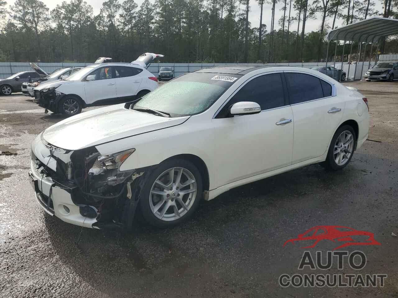 NISSAN MAXIMA 2010 - 1N4AA5AP5AC871945