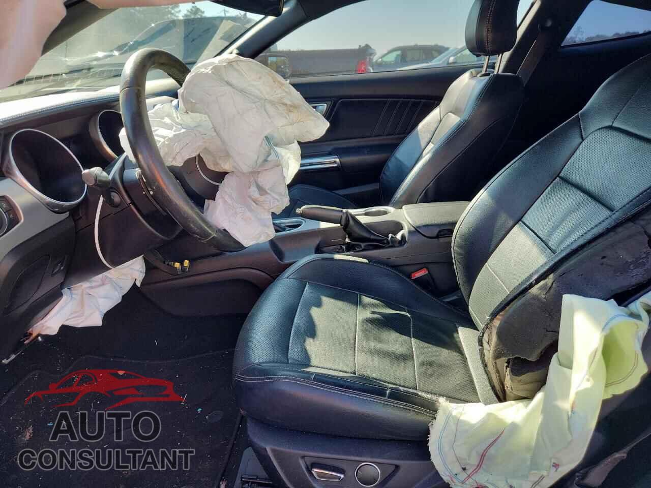 FORD MUSTANG 2019 - 1FA6P8CF0K5151663