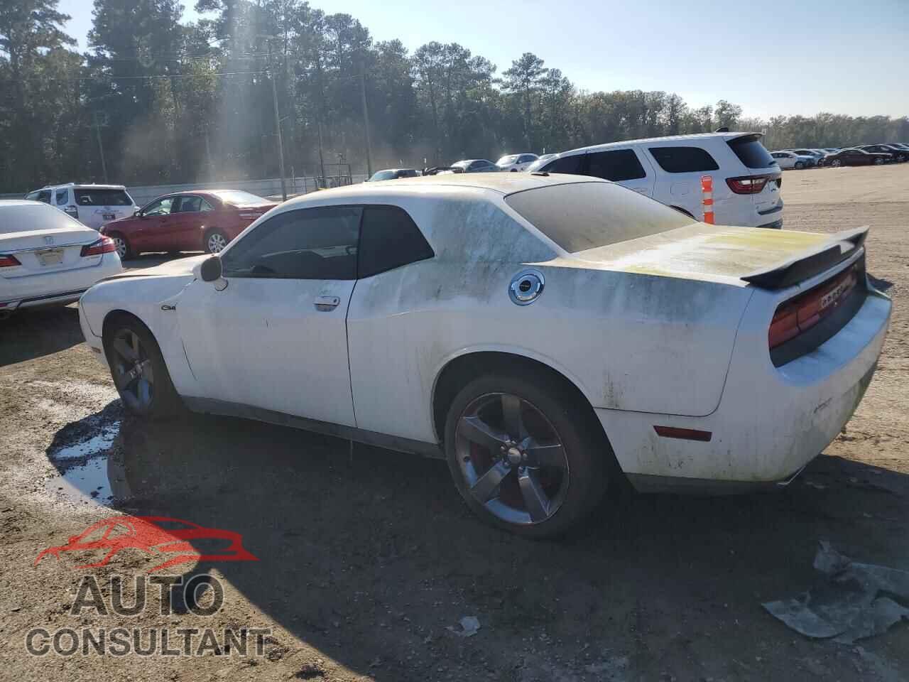 DODGE CHALLENGER 2013 - 2C3CDYAG2DH530648