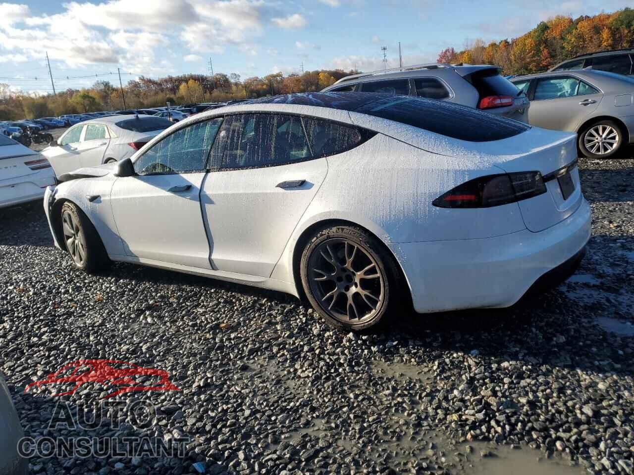 TESLA MODEL S 2023 - 5YJSA1E58PF522385