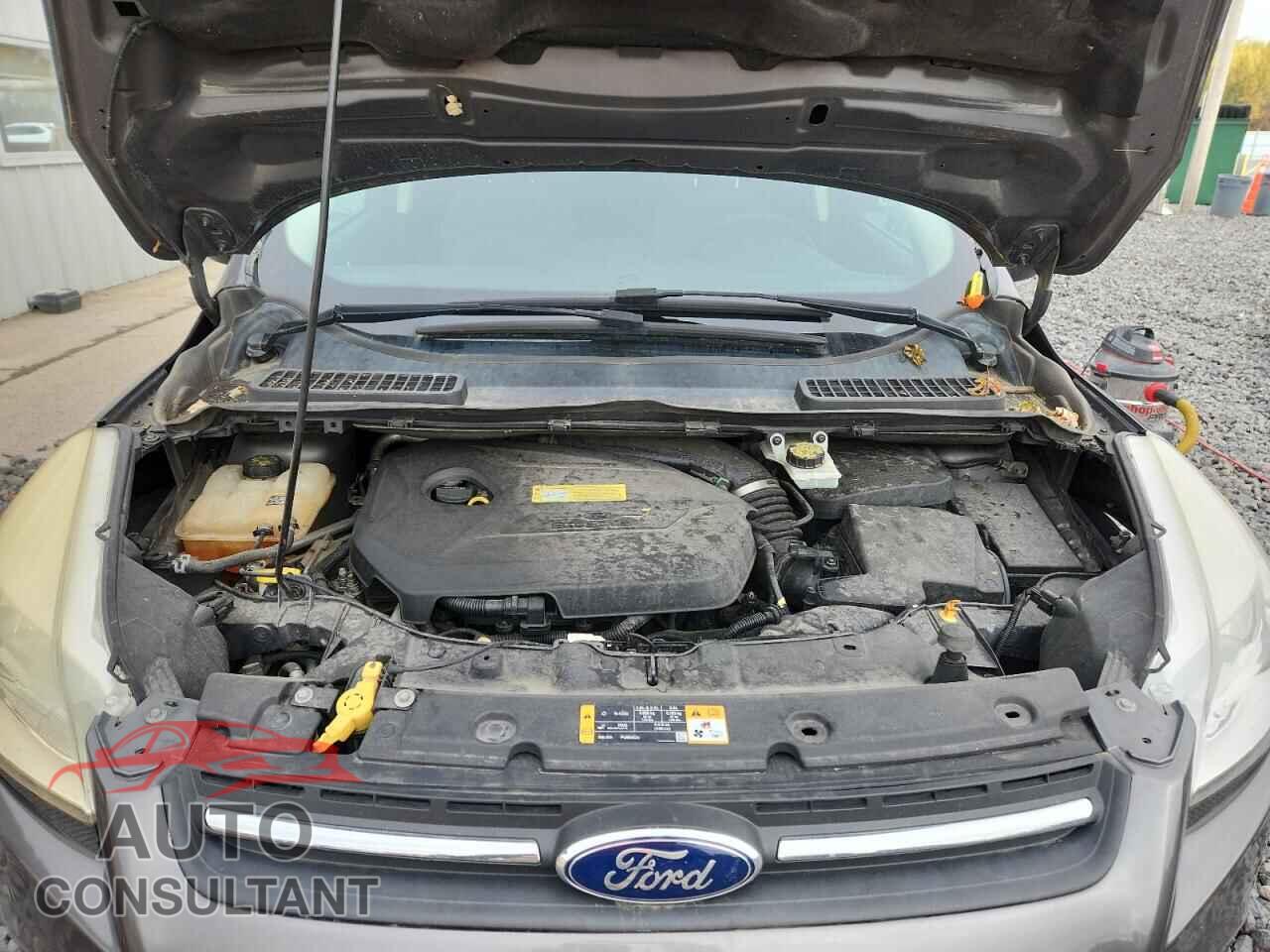 FORD ESCAPE 2013 - 1FMCU9GX2DUD87461