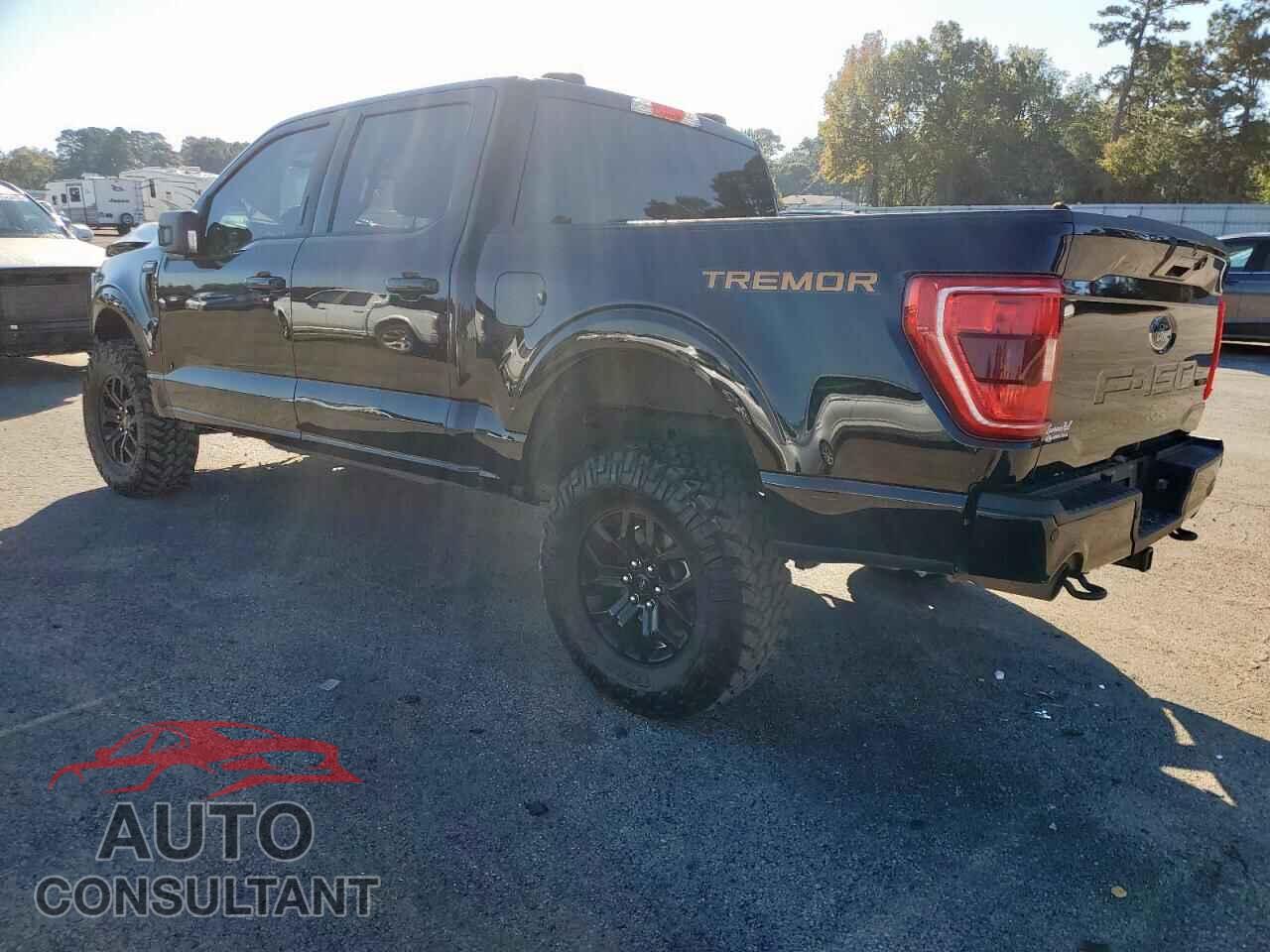 FORD F-150 2023 - 1FTEW1E82PFA18595