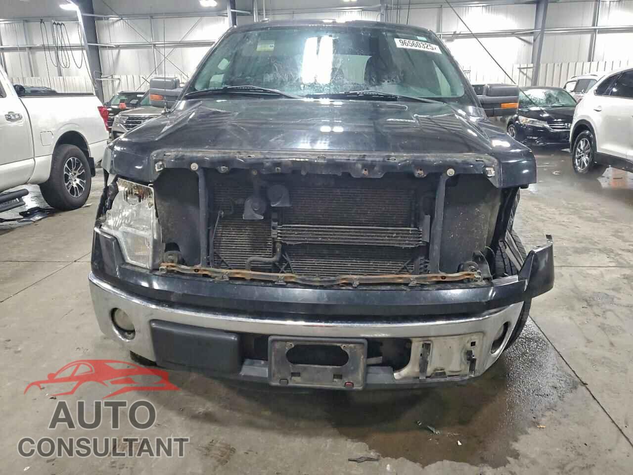 FORD F-150 2011 - 1FTFW1CF9BFB68508
