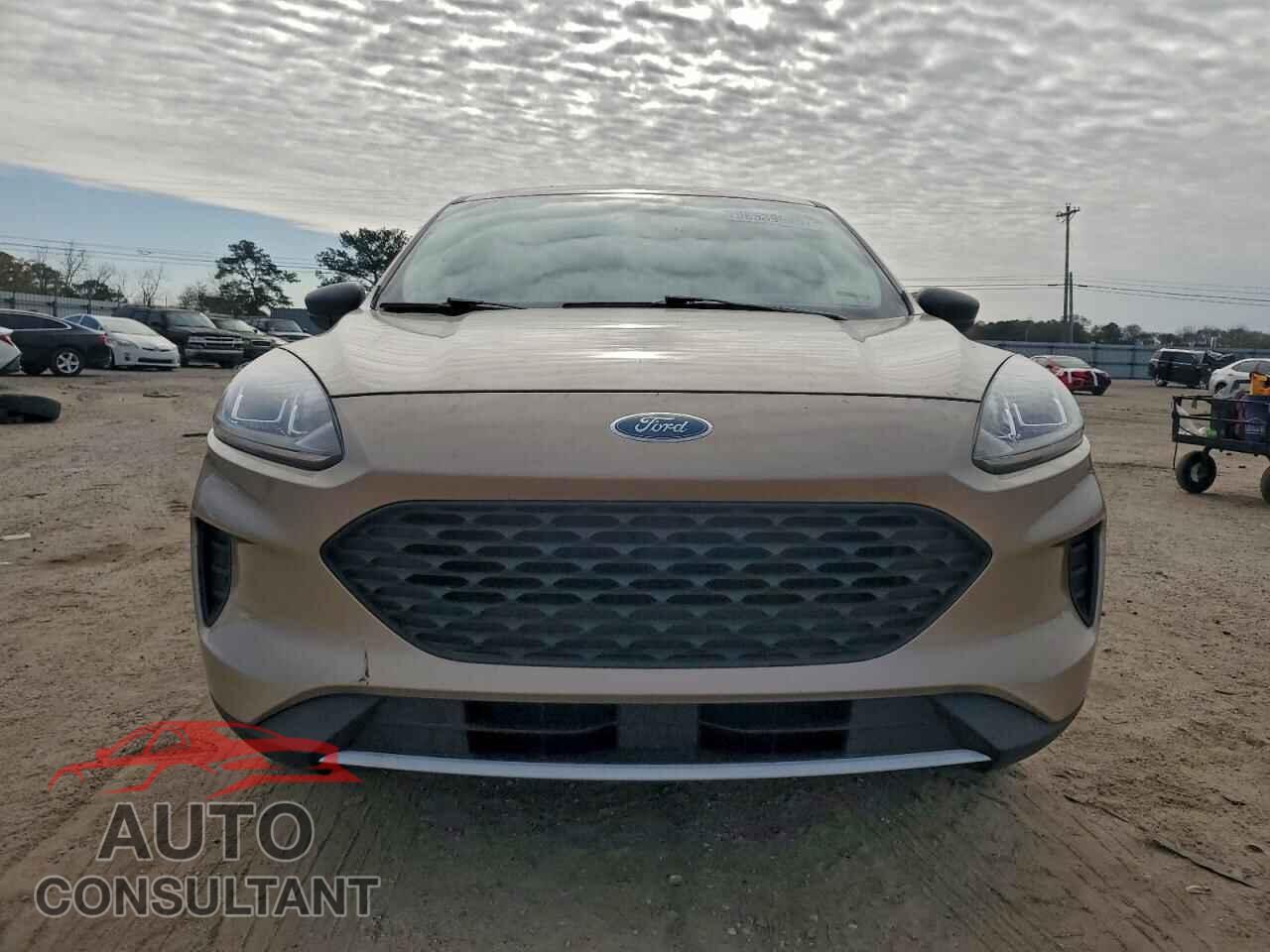FORD ESCAPE 2020 - 1FMCU0F67LUA24026