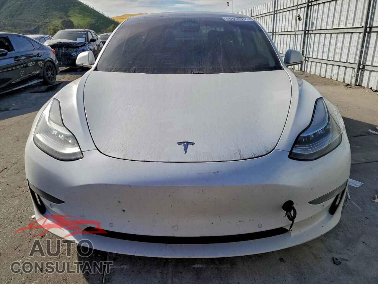 TESLA MODEL 3 2019 - 5YJ3E1EB2KF436934