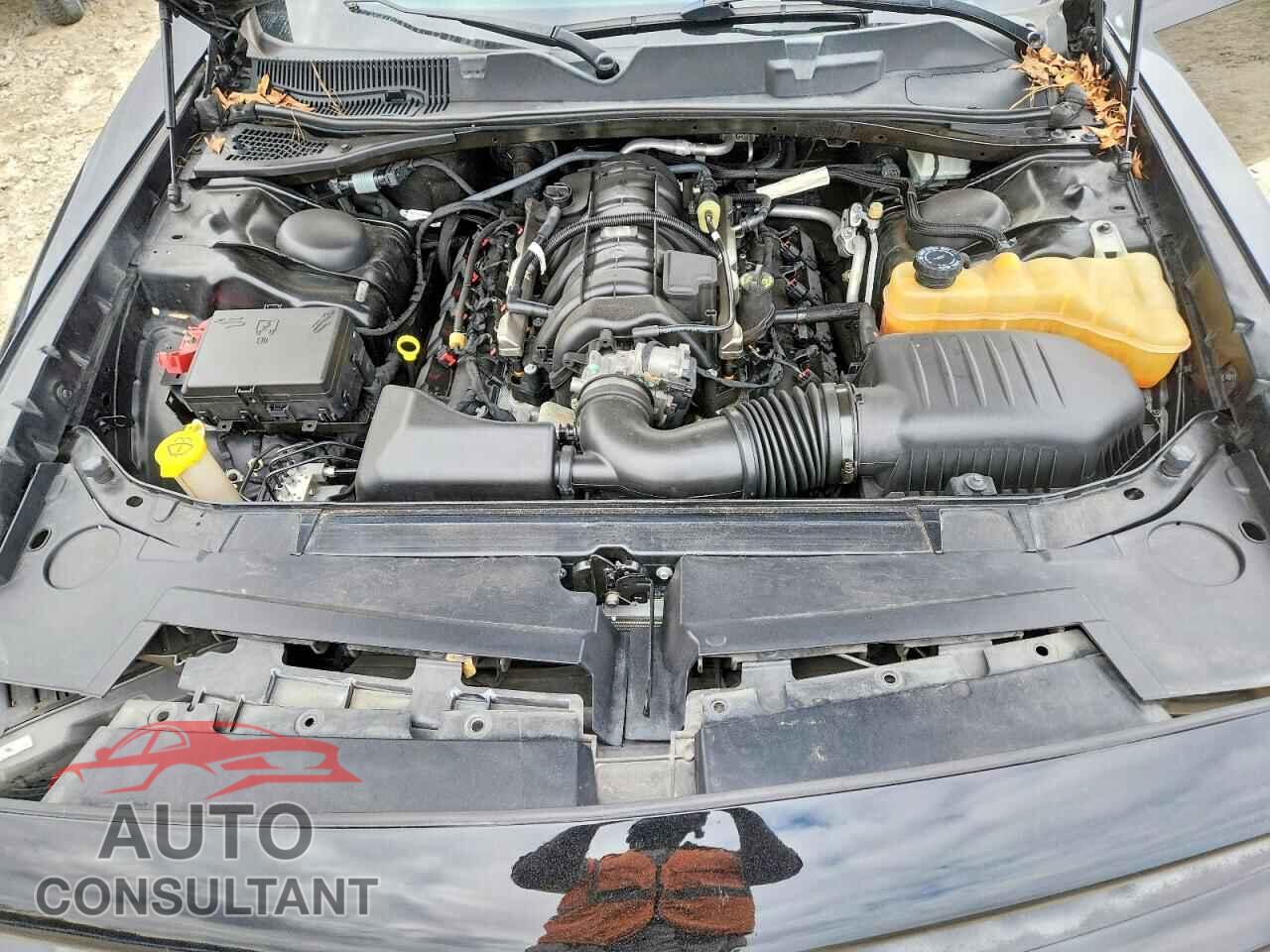DODGE CHALLENGER 2016 - 2C3CDZBT7GH291054