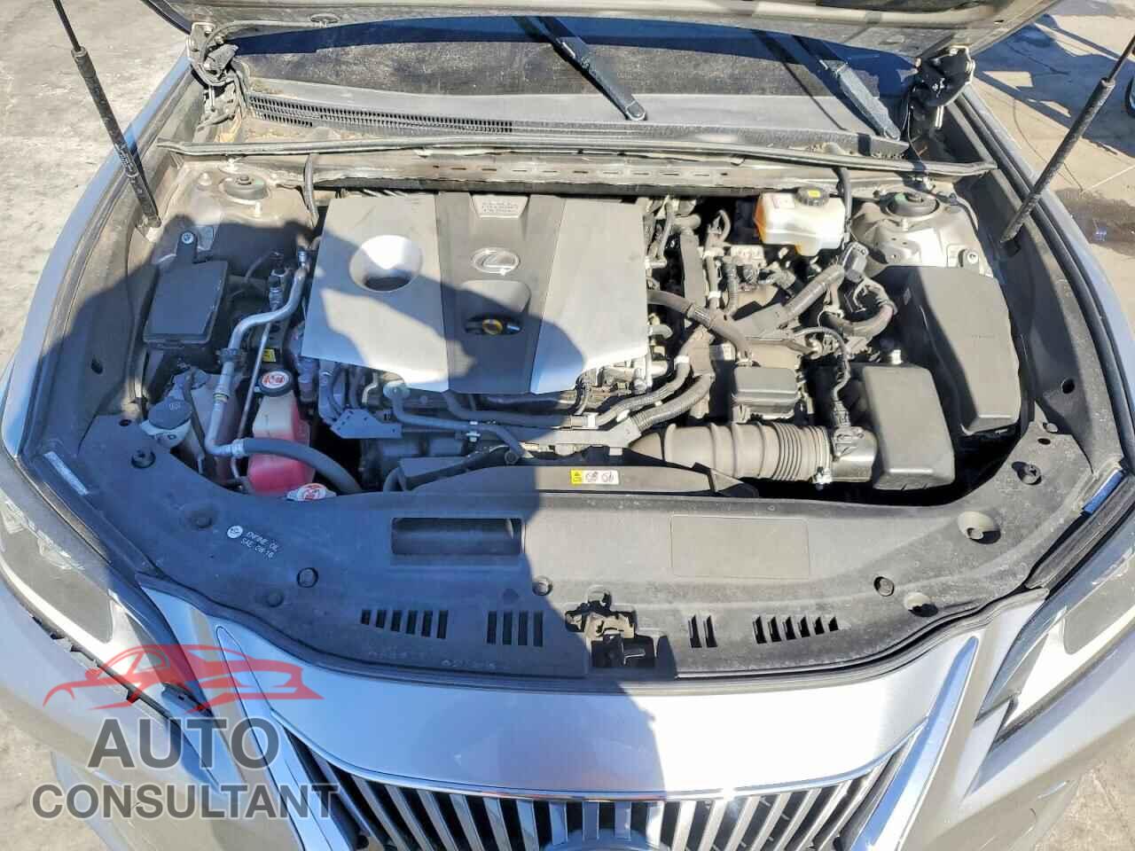 LEXUS ES300 2019 - JTHB21B11K2006703