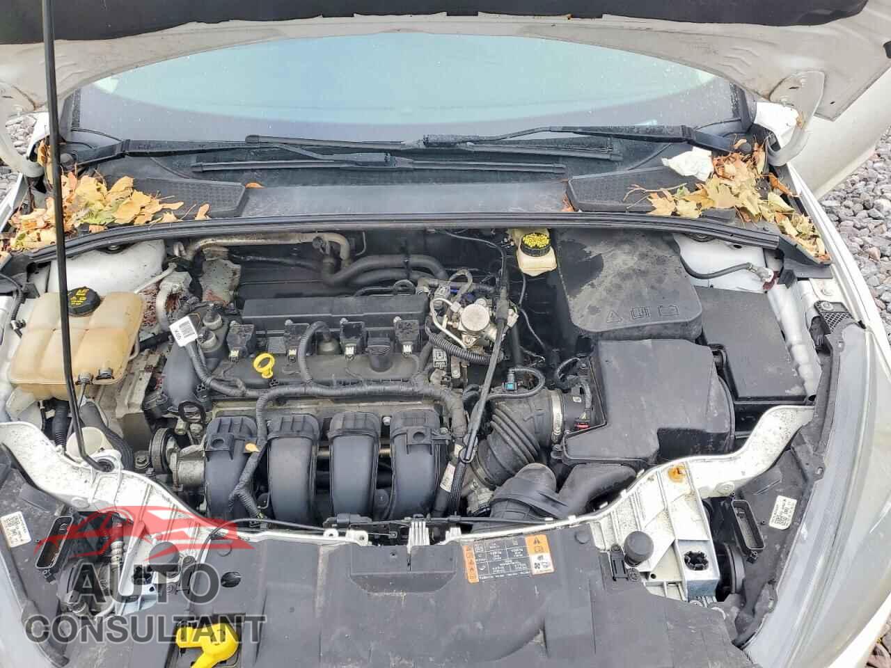 FORD FOCUS 2017 - 1FADP3H26HL249004