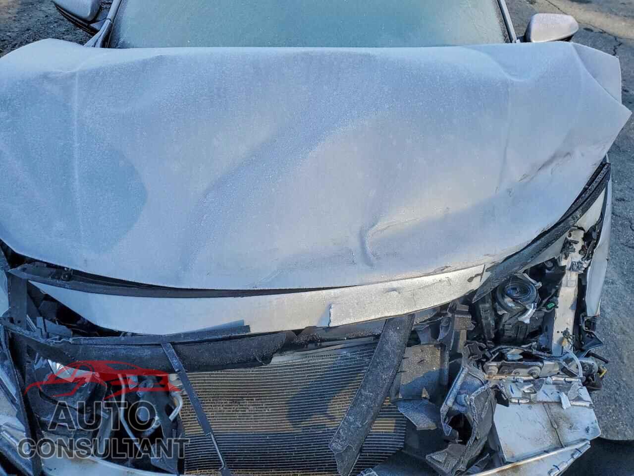 HONDA CIVIC 2019 - 2HGFC2F84KH583585
